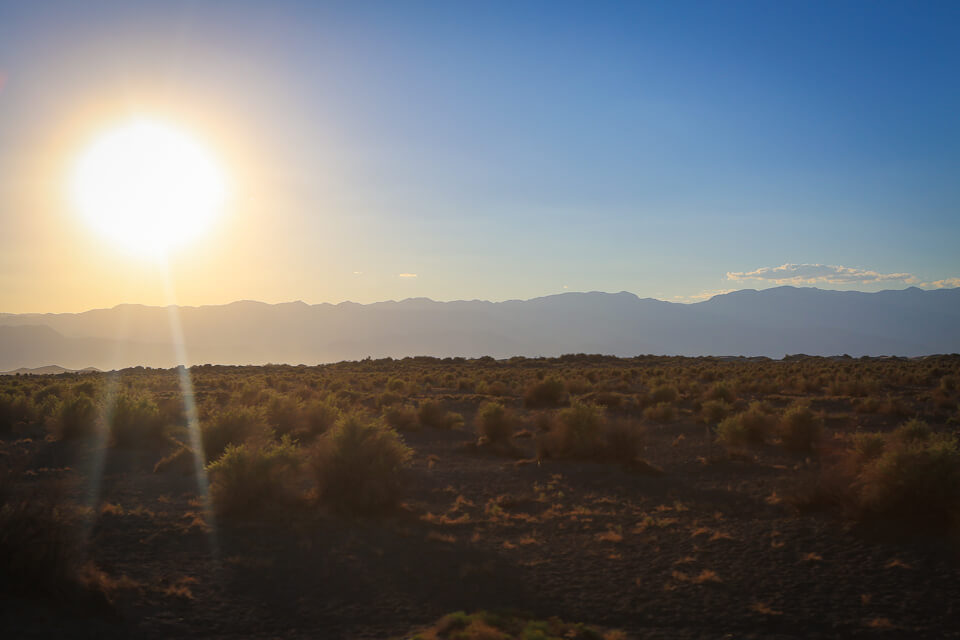 taking photographs into the sun