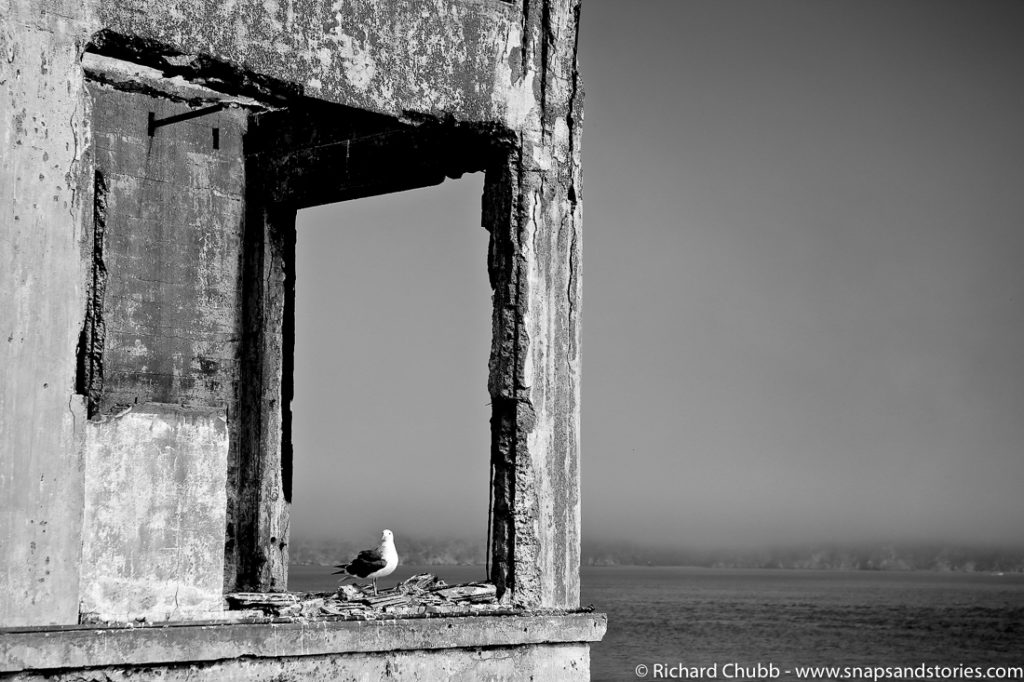 things to see in san francisco Alcatraz island