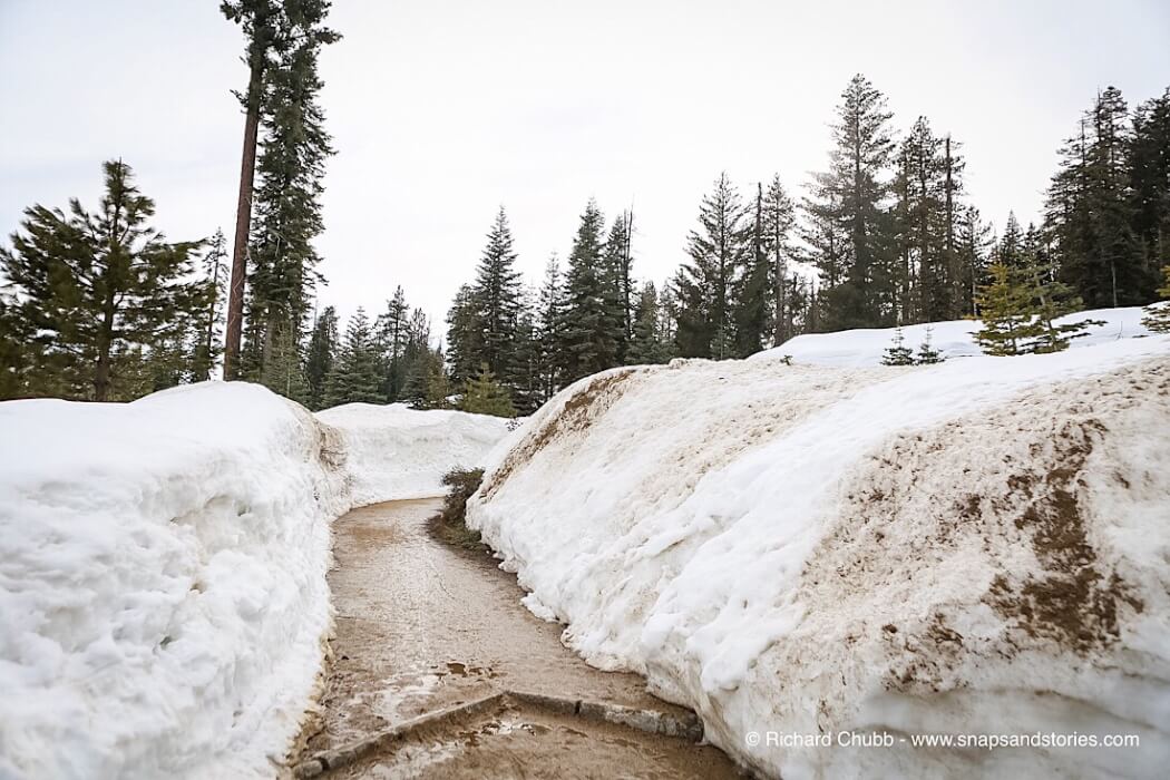 Driving from LA to Sequoia