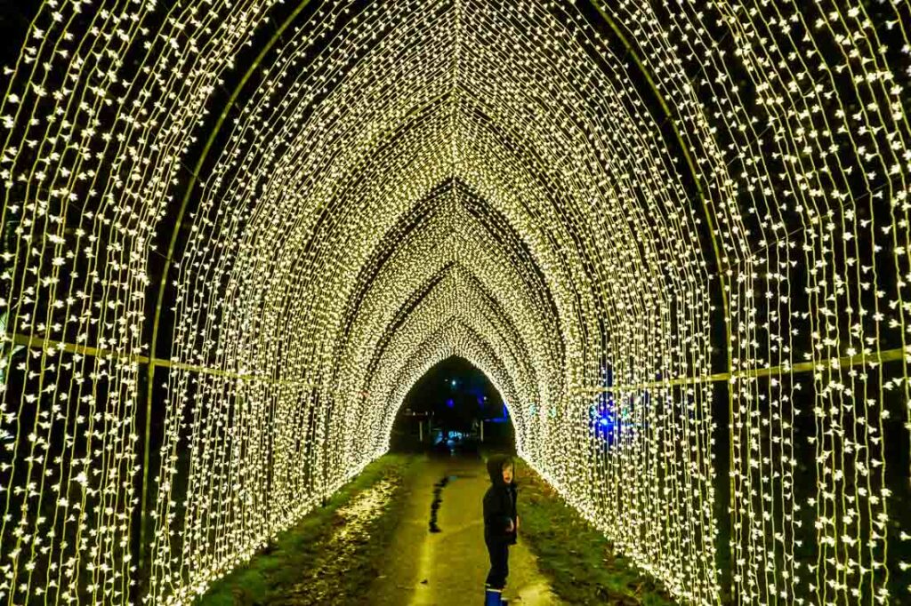 Beaulieu Christmas Lights