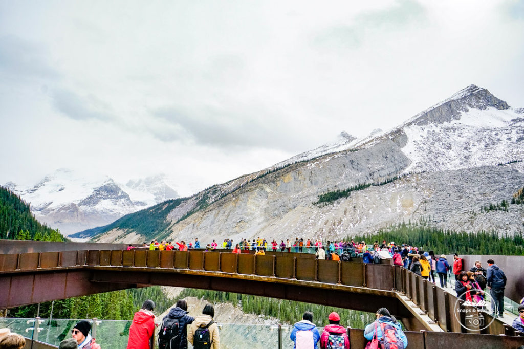 things to see on the Icefields Parkway with children